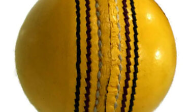 Cricket Balls