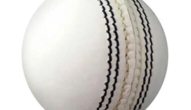 Cricket Balls