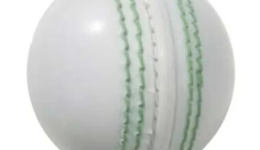 Cricket Balls